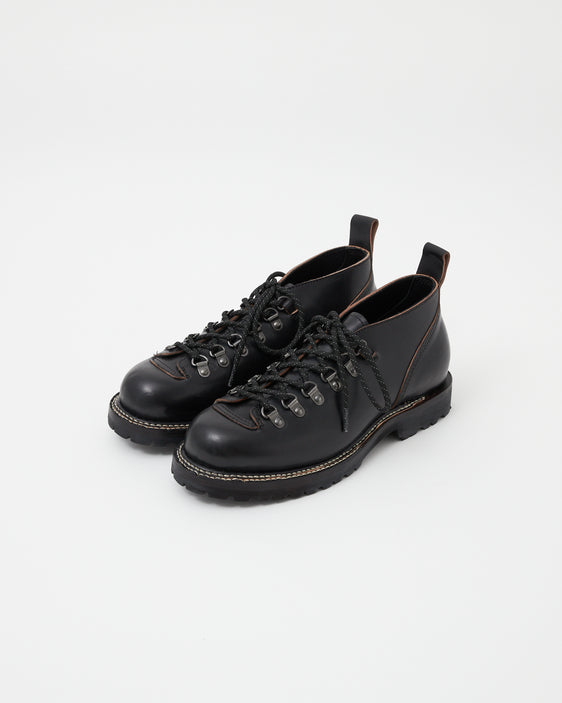 D-Type 01V Chromexcel Black